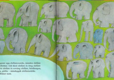 elmer-a-kockas-elefant-belso1