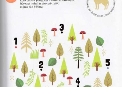 montessori-a-vilag-felfedezese-erdei-állatok-belso1