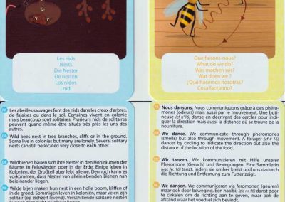 Méhecskés-társasjáték-3-az-1-ben-belso6