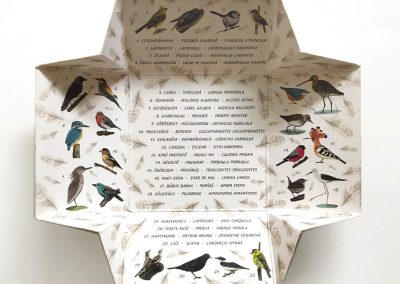 Gutenberg madarak memóriakártya1