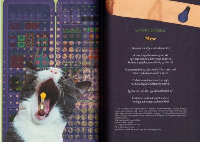 macskák-mesés-könyve-belso4