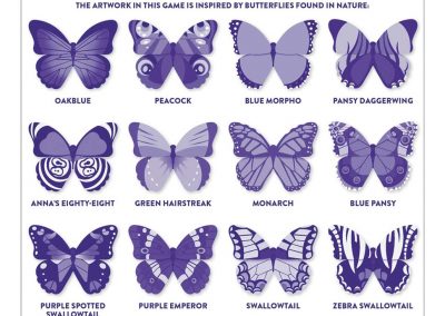 butterflies-shaped-memory-match-shaped-memory-match-mudpuppy-102625_2400x-másolat