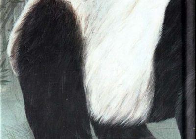 gutenberg-üres-könyv-panda-hatso