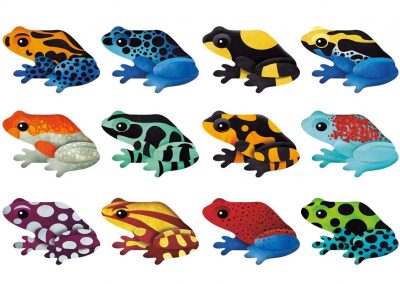 tropical-frogs-shaped-memory-match-shaped-memory-match-mudpuppy-182135_2400x-másolat