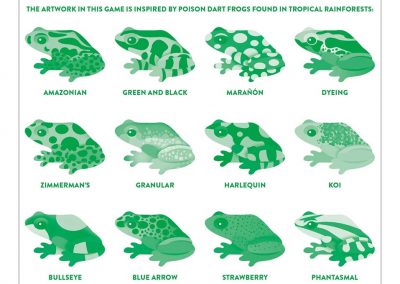 tropical-frogs-shaped-memory-match-shaped-memory-match-mudpuppy-201544_2400x-másolat