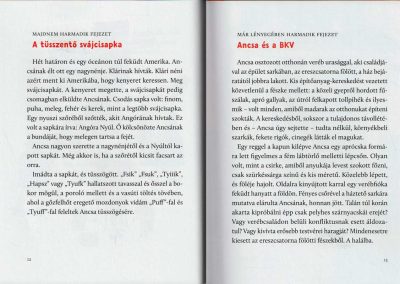ancsa-belso3