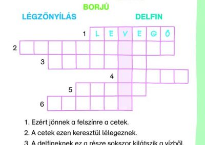 Bálnák-és-delfinek---Matricás-szövegfejtő---Mi-MICSODA-OLVASÓ-belso1