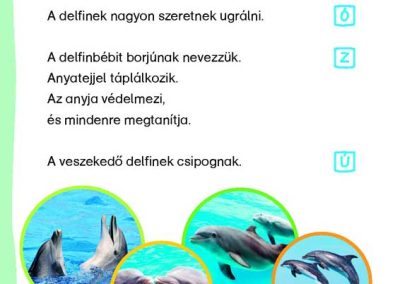 Bálnák-és-delfinek---Matricás-szövegfejtő---Mi-MICSODA-OLVASÓ-belso2