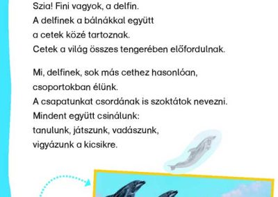 Bálnák-és-delfinek---Matricás-szövegfejtő---Mi-MICSODA-OLVASÓ-belso4