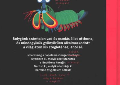 a világ legnevetségesebb állatai hatso