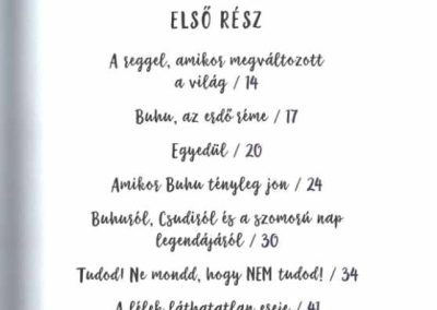 csudi a pacsirta a lehetetlen csak egy szó belso2