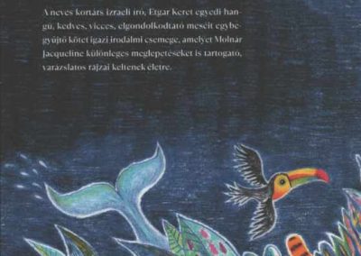 a kócos macskaemberkölyök és más mesék hatso