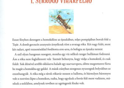 a sivatagi róka és a vándorok b1