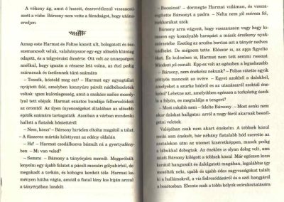 a vidrák éneke belso1
