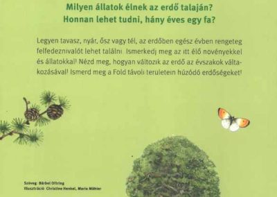 élet az erdőben hatso