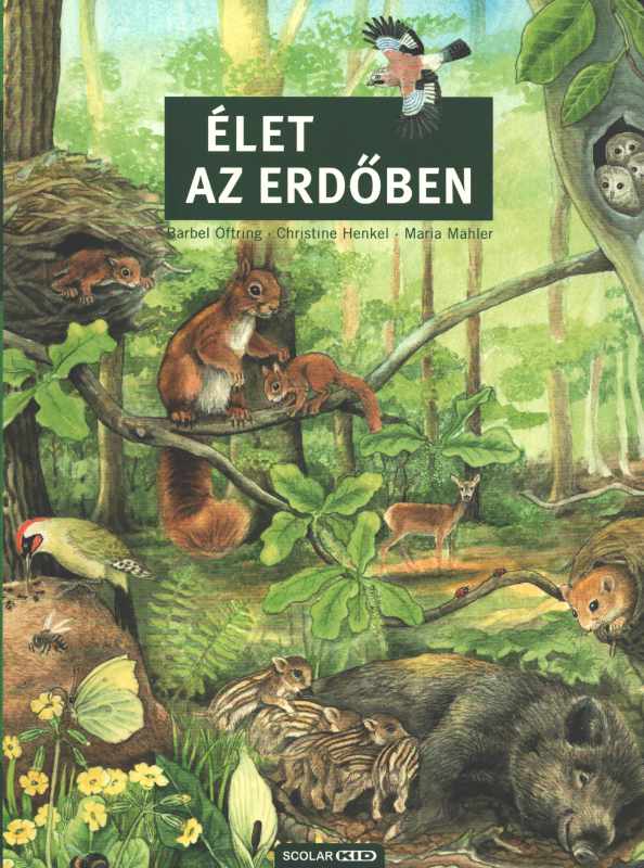 Élet az erdőben Élet az erdőben
