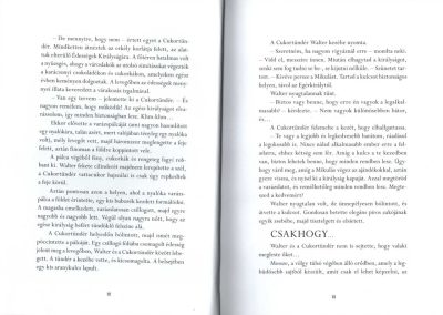 diótörő és az egérkirály karácsonyi csínytevései b3