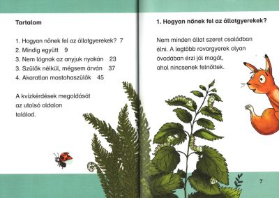 hogyan cseperednek az állatgyerekek az erdőben b1