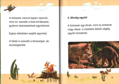 hogyan cseperednek az állatgyerekek az erdőben b2