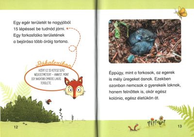 hol laknak az állatok az erdőben b2