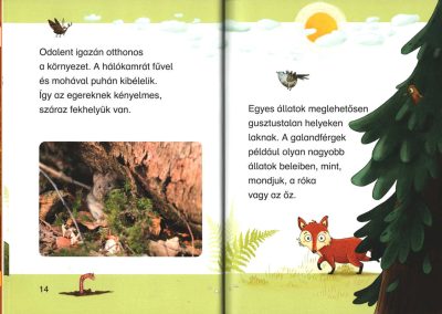 hol laknak az állatok az erdőben b3