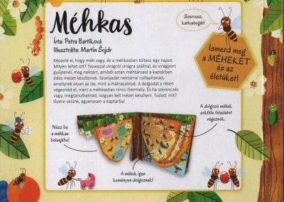méhkas h