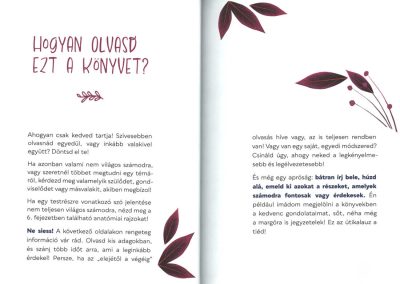 a saját utadon b4