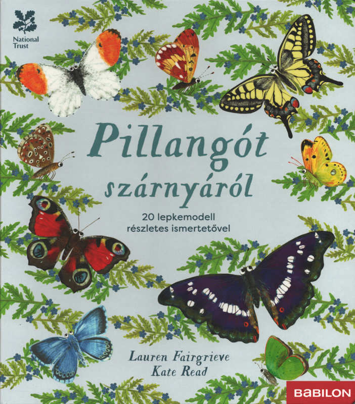 Pillangót szárnyáról – 20 lepkemodell részletes ismertetővel Pillangót szárnyáról – 20 lepkemodell részletes ismertetővel