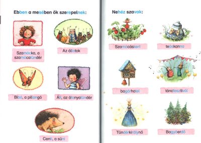 szamócka b1