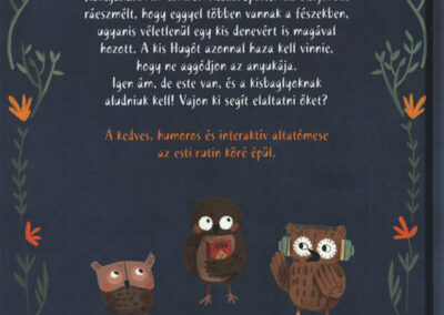 10 kicsi bagoly nem akar aludni h