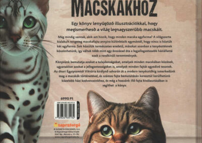 varázslatos útmutató a macskákhoz h