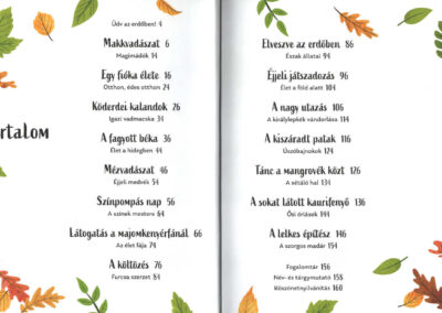 az erdő titkai b1