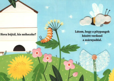 hova bújtál kis méhecske b1