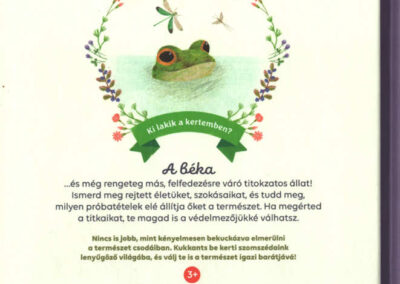 a béka h