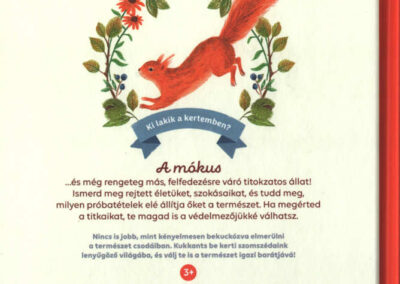 a mókus b