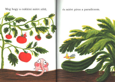 pomeló töpreng b3