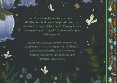erik és az ezüst csillag h