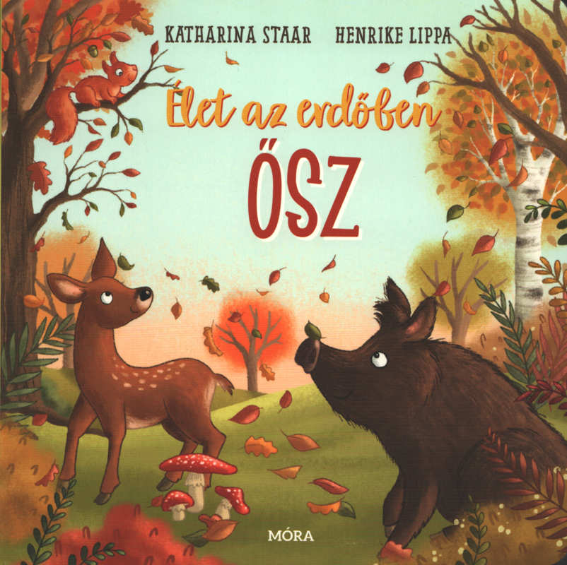 Élet az erdőben – Ősz Élet az erdőben – Ősz
