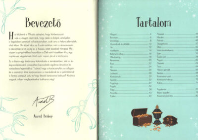 csodálatos karácsony b1