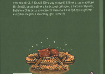 pitypang és a karácsonyi csillag h